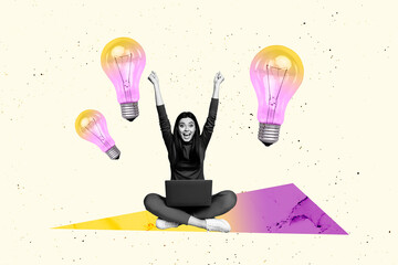 Banner 3d art poster image collage of happy freelancer businesswoman hold laptop light bulb idea...