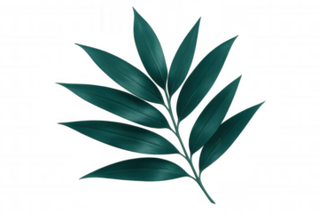 Tropical dark green leaf isolated on transparent background, creating a natural and elegant design element