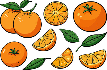 Fresh orange. Big vector collection of fresh oranges. Orange fruit isolated on white background.
