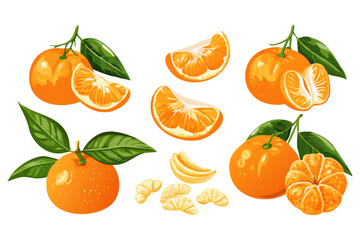 Fresh orange. Big vector collection of fresh oranges. Orange fruit isolated on white background.
