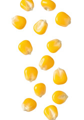 Bright yellow corn kernels, plump and glistening, suspended mid-air on a transparent studio background with soft, high-key lighting and macro lens detail. Concept of natural bounty and freshness