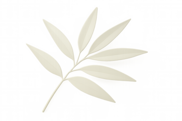3d rendering of a white leaf branch isolated on a transparent background, perfect for nature-themed designs