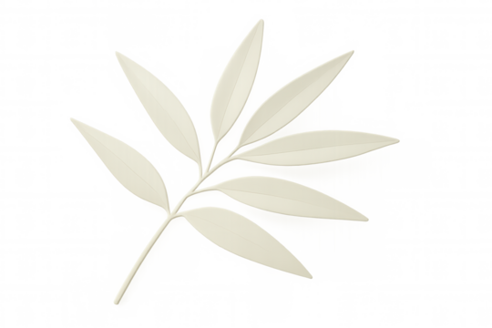 3d rendering of a white leaf branch isolated on a transparent background, perfect for nature-themed designs - Powered by Adobe