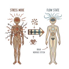 Illustration of stress vs. flow state transformation.