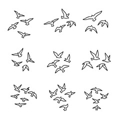 A collection of simple black line art sketches showing flocks of birds in flight.
