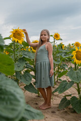 A little girl in a green dress in a field of sunflowers, looking at a sunflower, side view, growing crops, agriculture, farming, summer, autumn, harvesting