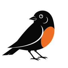 A simple stylized illustration of a black robin bird with a bright orange breast.
