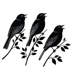 A trio of black songbirds perched on leafy branches singing in a graphic silhouette style.