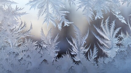 Intricate crystalline frost pattern adorns window, evoking serene winter morning feeling. delicate ice texture created by nature reveals peaceful, cold, and pure scene