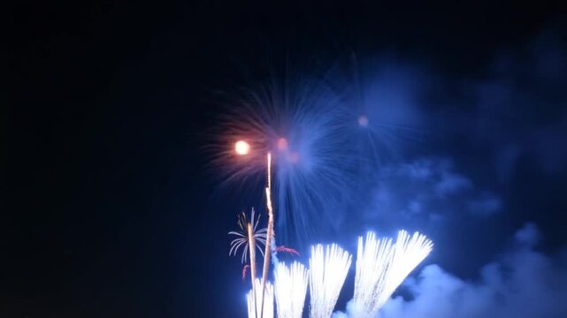 Beautiful fireworks, festive night