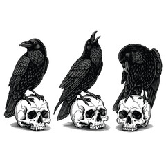 Three detailed black ravens in various poses each perched atop a weathered human skull in a gothic illustration.