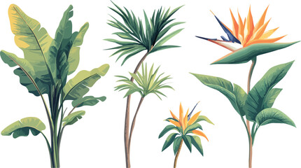 Vibrant watercolor illustration of tropical plants including bird of paradise and banana leaves