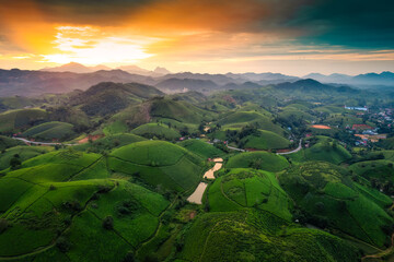 Aerial view of Beautiful sunset over Long Coc tea hill in agricultural field on countryside at Vietnam