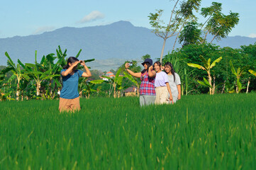 Four teenage girls stand on a rice path, two taking selfies together while another enjoys the...
