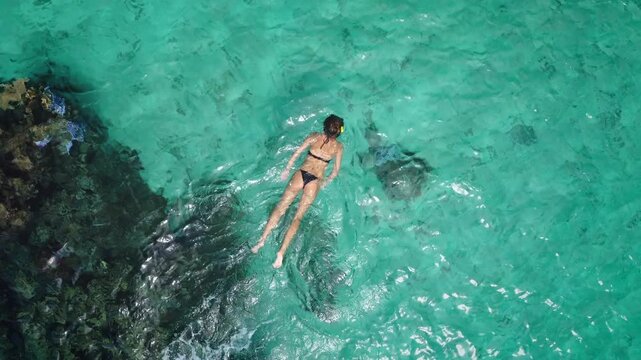 Slim girl snorkel crystal coral reef top down view. Slim sexy female in black bikini swim explore underwater wildlife. Tourist enjoy outdoor activity lifestyle, travel summer holiday tropical vacation