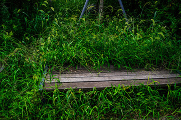 Naklejka premium 잡초가 무성한 벤치