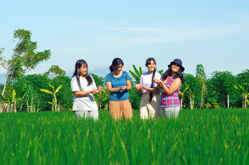 Surrounded by lush rice plants, four teen girls smile brightly, enjoying the moment while holding pink legume seeds in their hands.