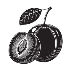 Black kakadu plum Silhouette Vector, High Quality Illustration on White Background © Craftdot