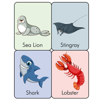 Animal Flashcards sea lion stringray shark lobster