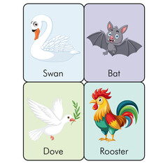 Animal Flashcards swan bat dove rooster