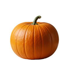 Single, perfectly formed, ripe orange pumpkin with vibrant textures and green stem, on clean light neutral surface in studio. Concept of natural abundance and wholesome health