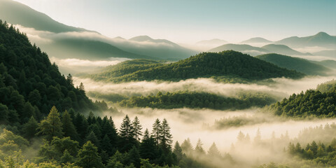 A foggy morning in a pine forest with a sky in the background.AI generated.