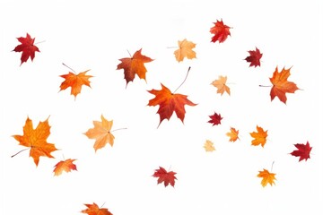 Fototapeta premium Autumn leaves leaf backgrounds falling.