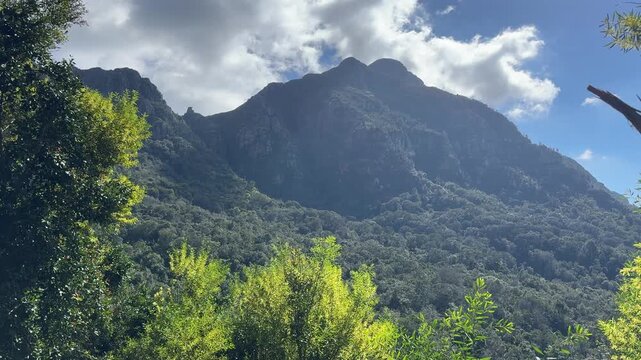 Views of Devil&rsquo;s Peak and Table Mountain from Newlands Forest in the Table Mountain national Park near Cape Town.