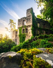 Fototapeta premium Imagen hiperrealista de un castillo medieval en ruinas, con muros de piedra erosionados y torres parcialmente derrumbadas. La densa vegetación lo cubre de forma natural: enredaderas, arbustos y musgo 