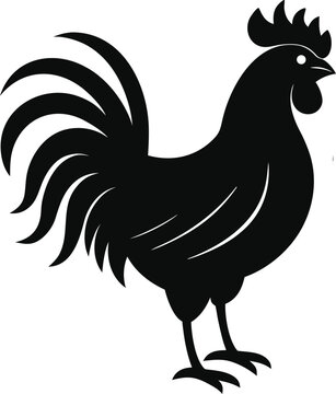 Professional roster design with diverse color palette and classic typography