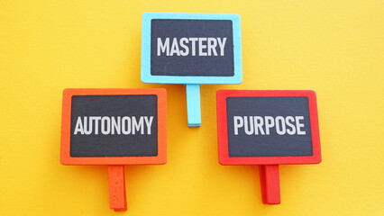 Autonomy, mastery and purpose for success and career growth from the beginning. Motivate to personal development