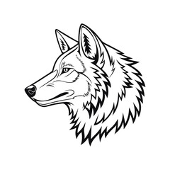 Naklejka premium wolf head isolated on white