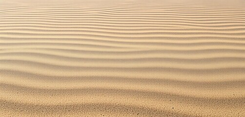 Fototapeta premium Horizontal lines of fine sand, subtle texture variations, shadow, ripple