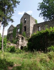 Fototapeta premium Imagen hiperrealista de un poblado minero, sin presencia humana ni elementos modernos. están cubiertas por densa vegetación: hiedra, arbustos, musgo y raíces que se aferran a la piedra erosionada.