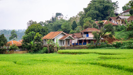 Traditional village houses with red-tiled roofs surrounded by rice fields and greenery.