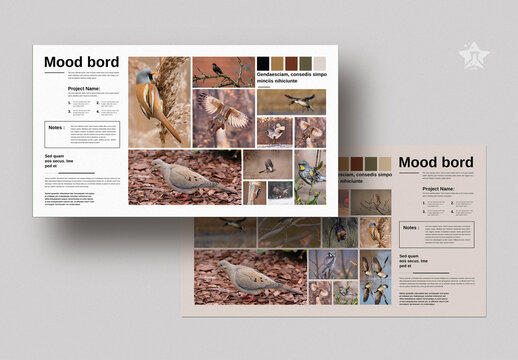 Mood Board Layout