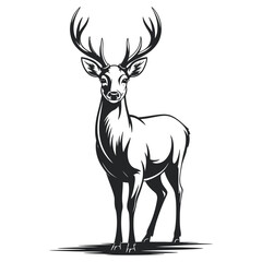 silhouette of a deer