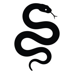 black and white snake