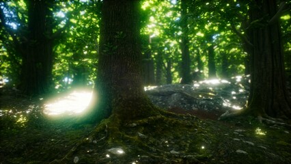 Golden rays filter through the lush canopy, illuminating the vibrant green foliage and moss covered...