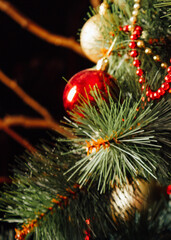 Close up of Christmas tree decorated with red and gold ornaments. Holiday festive decoration for winter celebration.