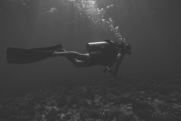 Black and white photo of caucasian male Scuba diver doing scuba diving underwater with a coral reef...