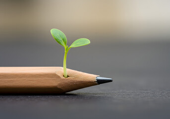 Green sprout growing from pencil creative idea inspiration beginning
