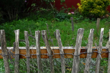 Rustic wooden fence with dry lavender stems against a green garden background. Countryside...