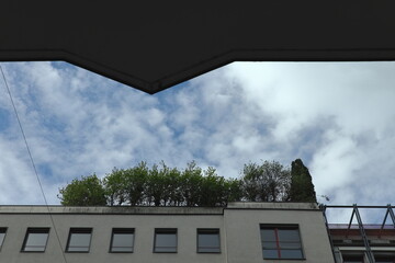 Modern building facade with rooftop greenery framed by geometric shadow, urban architecture and nature concept.