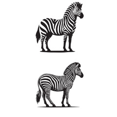 zebra sets silhouette ,zebra silhouette art , zebra setssilhouette images , zebra sets silhouette clipart , zebra silhouette png	