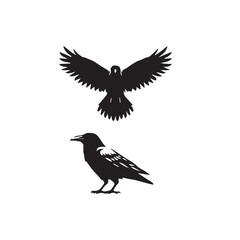 crow set silhouette tattoo,crow set silhouette png ,crow set silhouette flying ,crow set silhouette images	