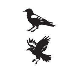 Obraz premium crow set silhouette tattoo,crow set silhouette png ,crow set silhouette flying ,crow set silhouette images 