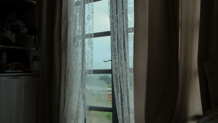 window with curtains