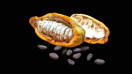 Chocolate ingredients, cocoa pods, cocoa beans,  on black background. 