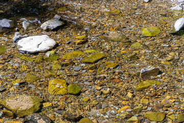 Mountain river on a sunny day